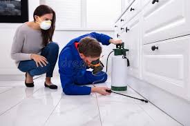 Best Residential Pest Control  in Deadwood, SD